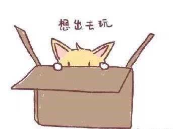 洛阳有哪些值得打卡的地方,洛阳网红打卡地免费