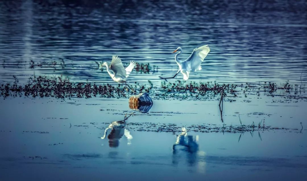 洛阳有哪些值得打卡的地方,洛阳网红打卡地免费