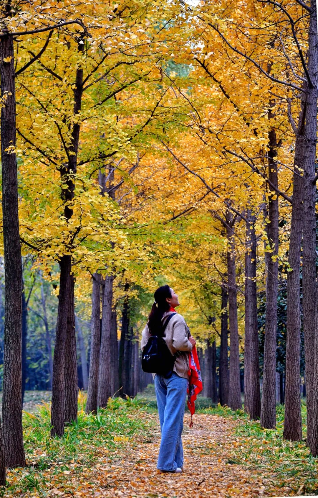 洛阳有哪些值得打卡的地方,洛阳网红打卡地免费
