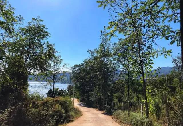 洛阳有哪些值得打卡的地方,洛阳网红打卡地免费