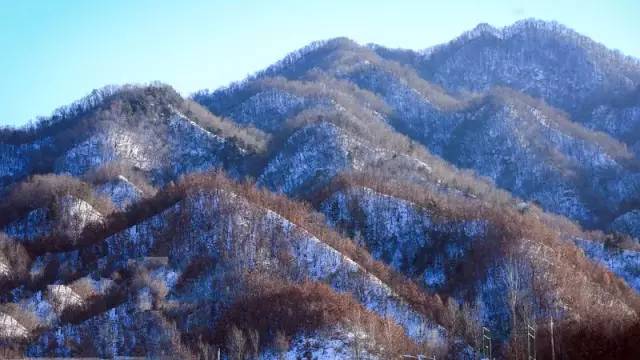 洛阳有哪些值得打卡的地方,洛阳网红打卡地免费