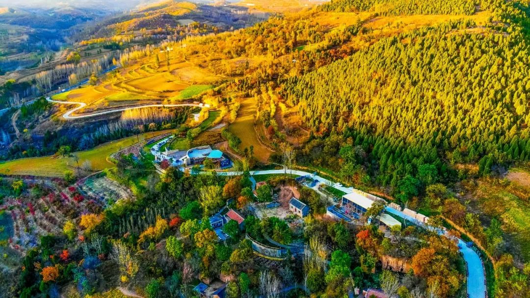 洛阳有哪些值得打卡的地方,洛阳网红打卡地免费