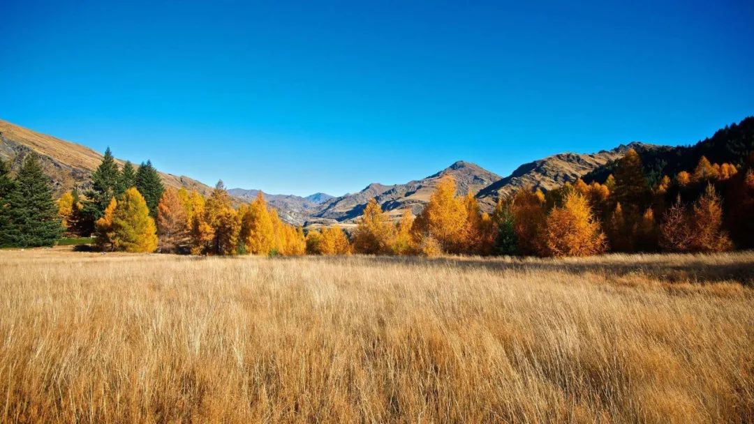 经典央视歌曲,央视经典背景音乐