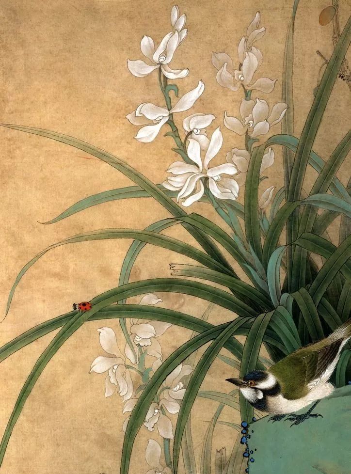 经典央视歌曲,央视经典背景音乐