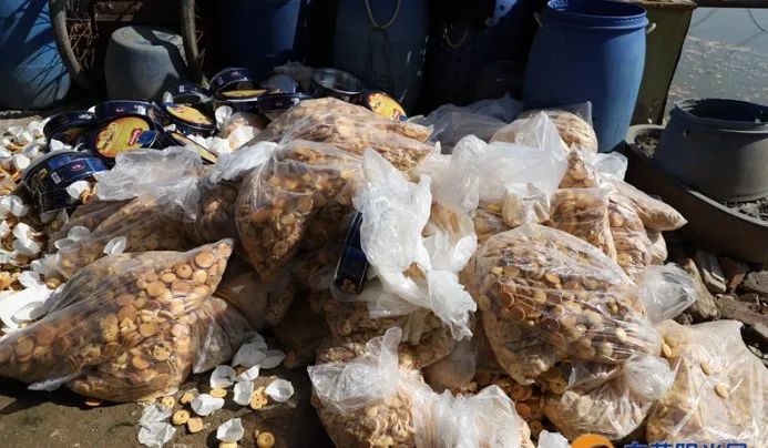 销毁过期假冒食品,销毁假食品名单