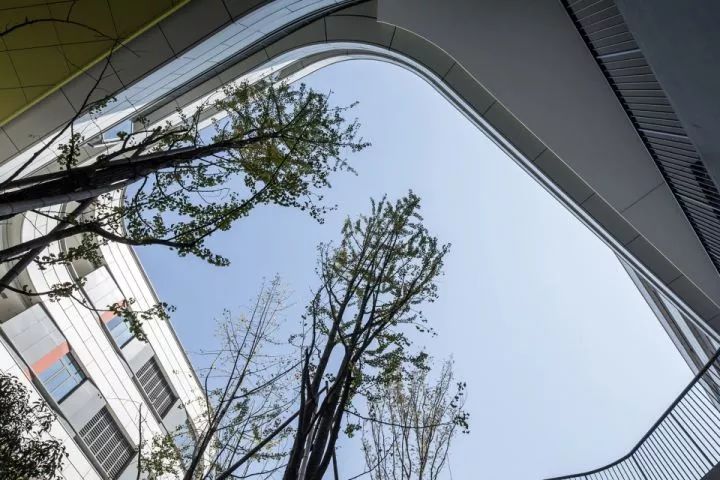 拒绝“千校一律”，浙大教院附中完成漂浮立体校园