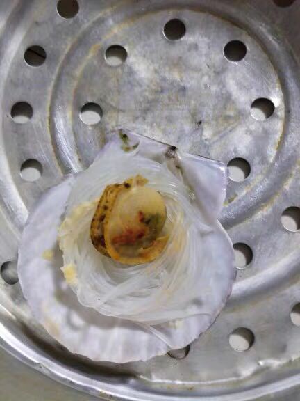 獐子岛扇贝消失的谜团追踪分析,獐子岛扇贝去哪里了