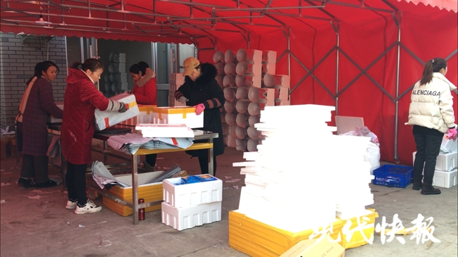 连云港海鲜直播带货赚多少钱一斤,连云港码头海鲜直播带货