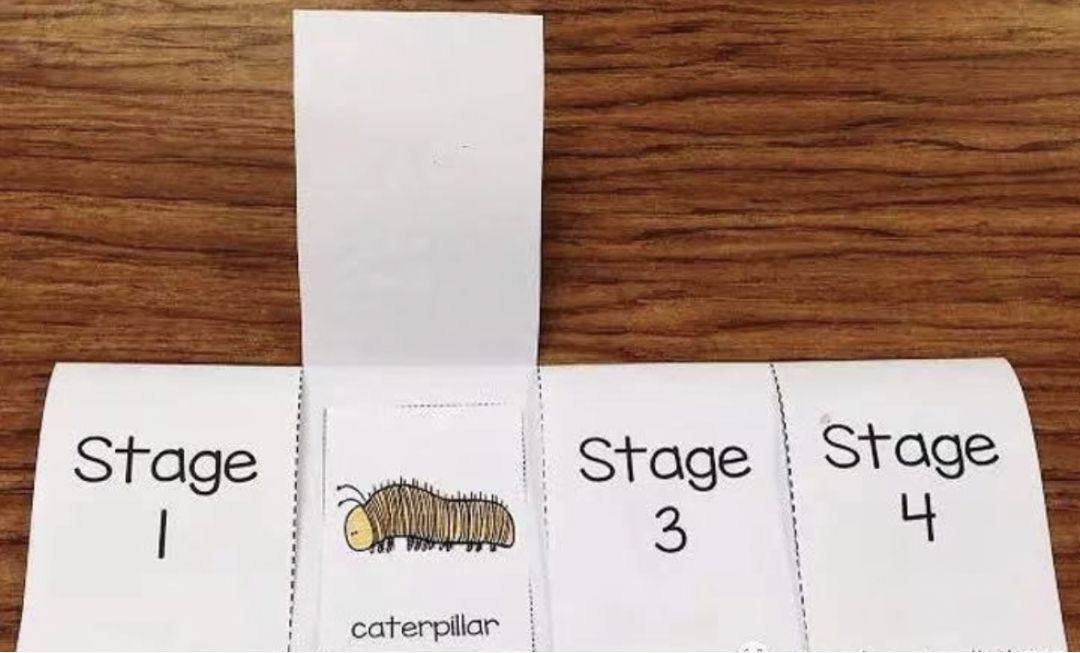 怎么制作lapbook主题翻翻书,lapbook翻翻书制作教程