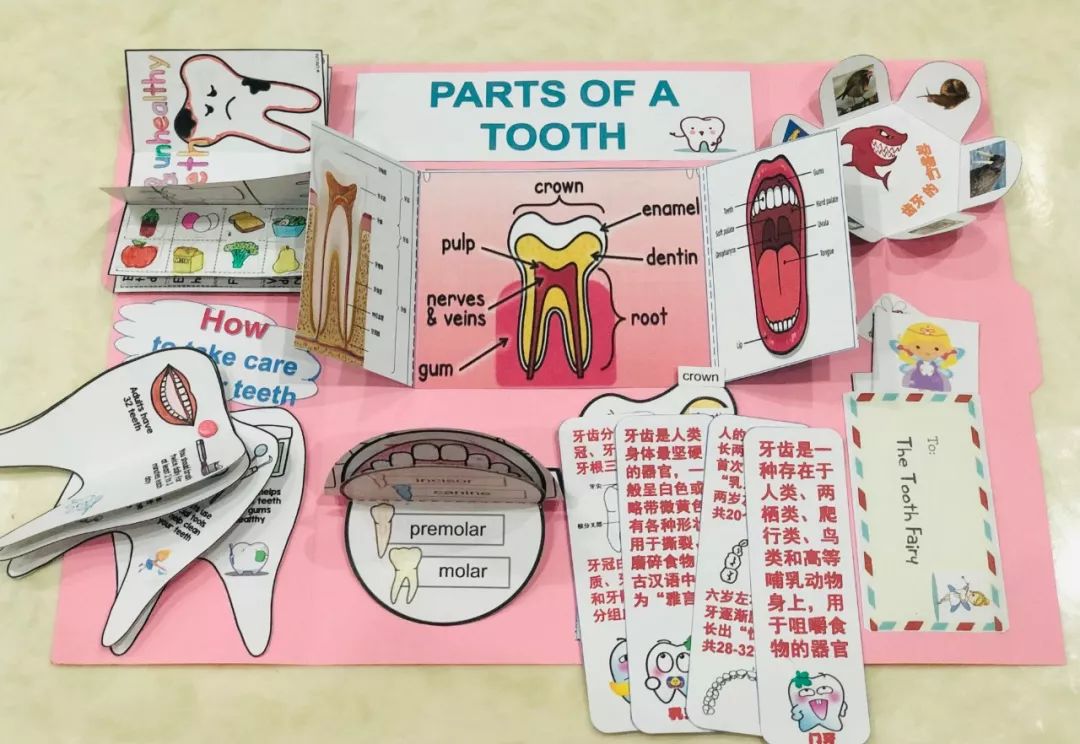 怎么制作lapbook主题翻翻书,lapbook翻翻书制作教程