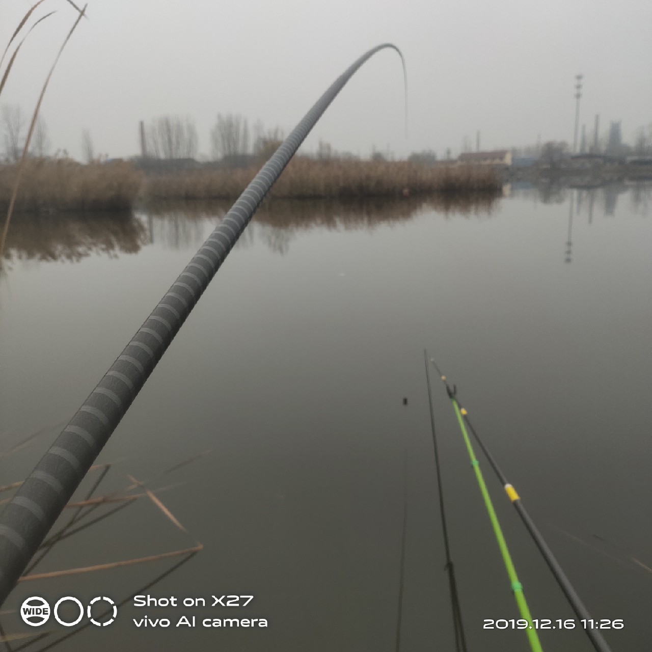 春天小雨天钓鲫鱼技巧和方法,钓鲫鱼的正确方法与技巧