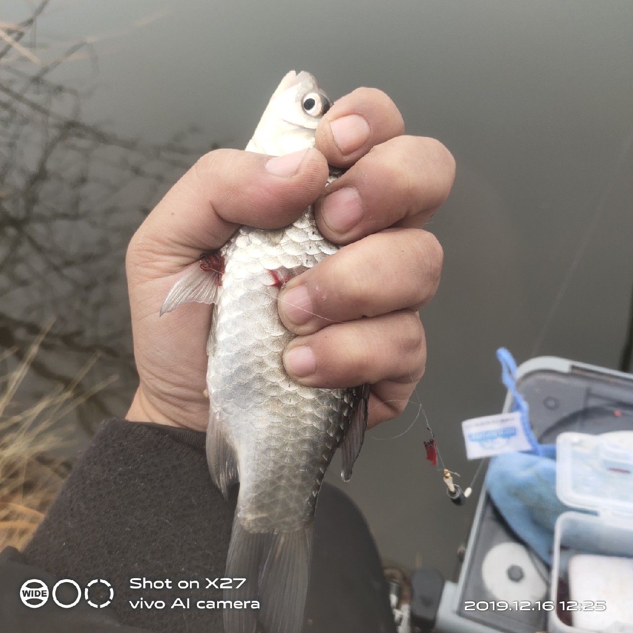 春天小雨天钓鲫鱼技巧和方法,钓鲫鱼的正确方法与技巧