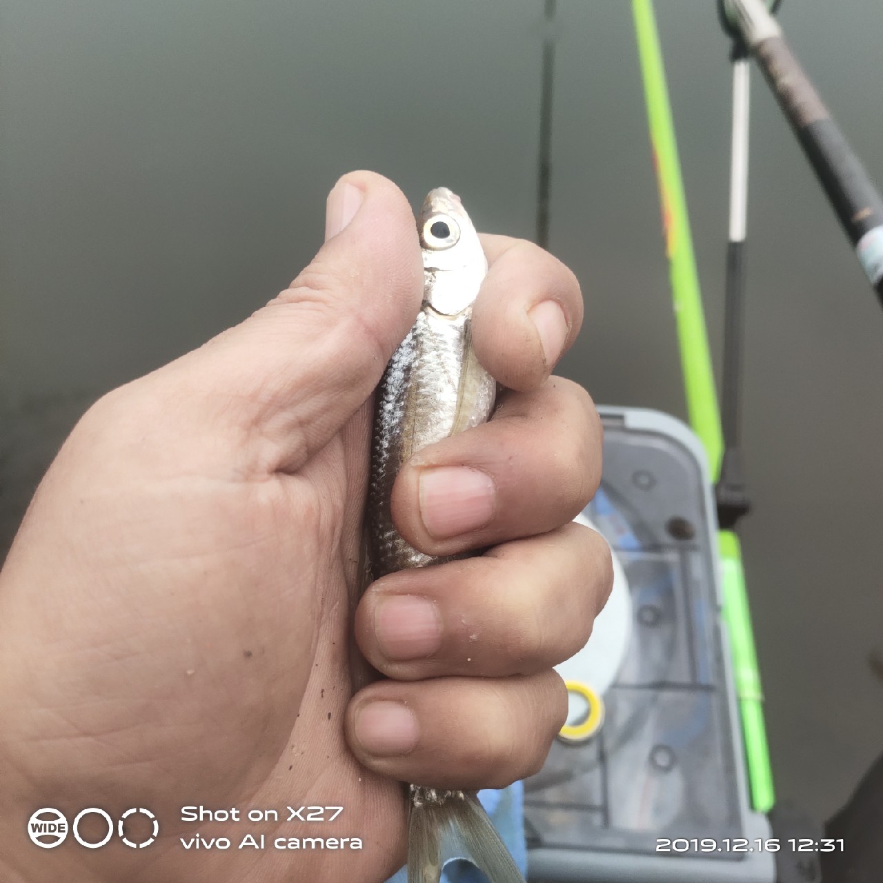 春天小雨天钓鲫鱼技巧和方法,钓鲫鱼的正确方法与技巧