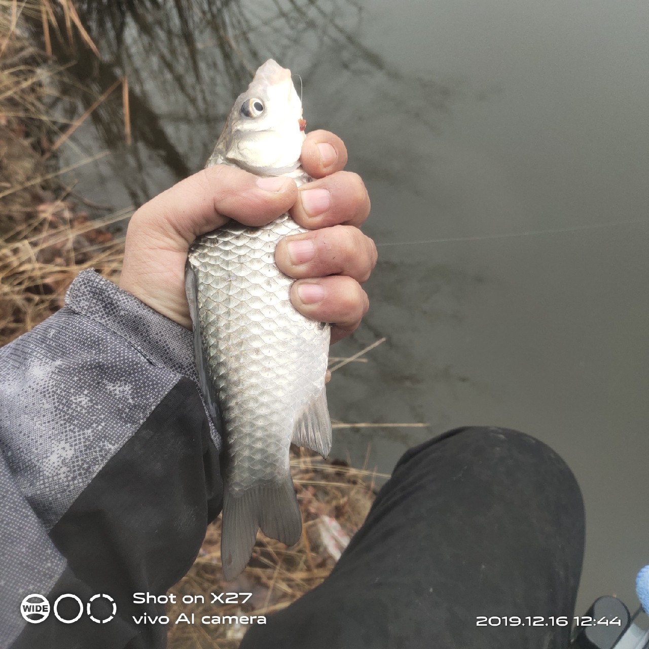 春天小雨天钓鲫鱼技巧和方法,钓鲫鱼的正确方法与技巧
