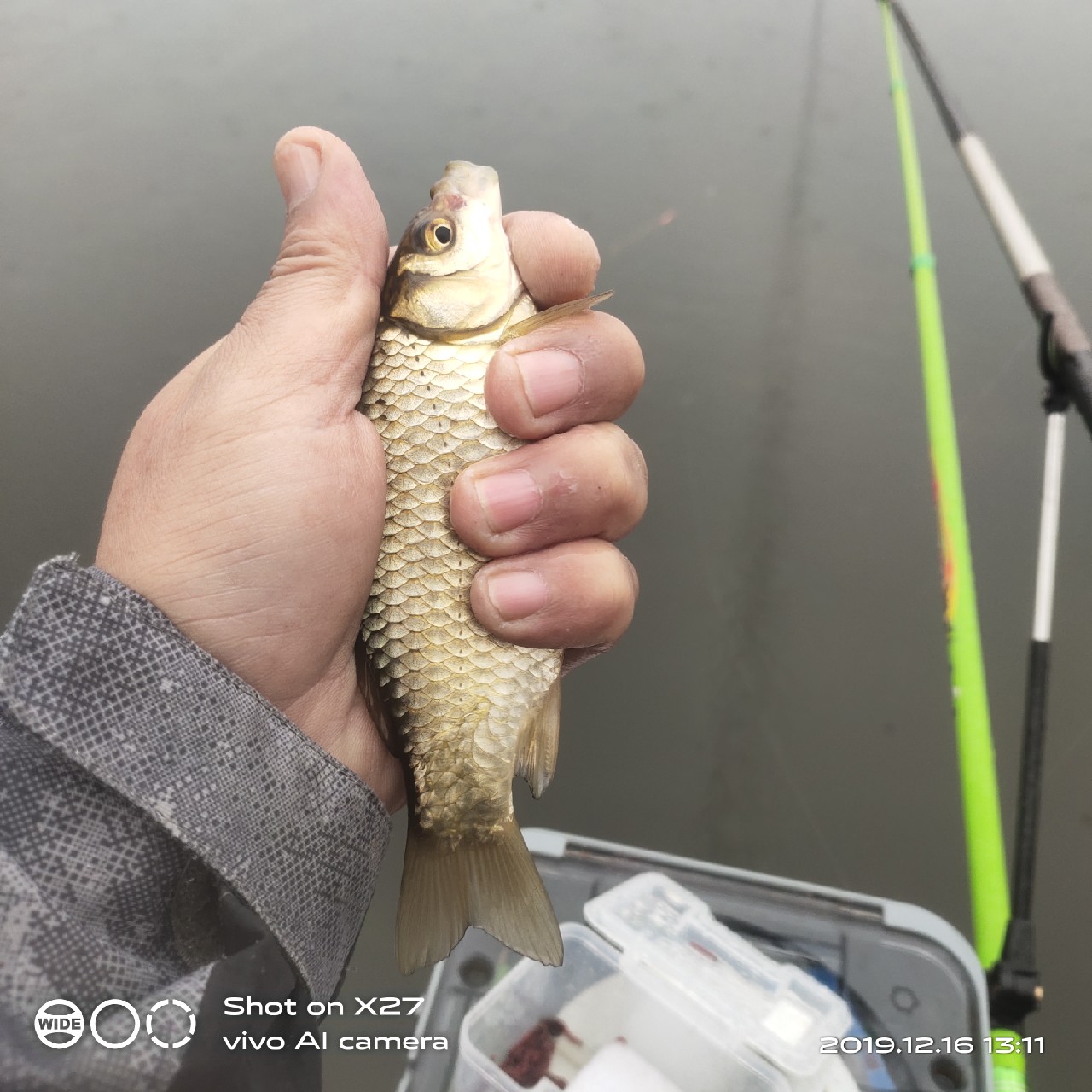 春天小雨天钓鲫鱼技巧和方法,钓鲫鱼的正确方法与技巧