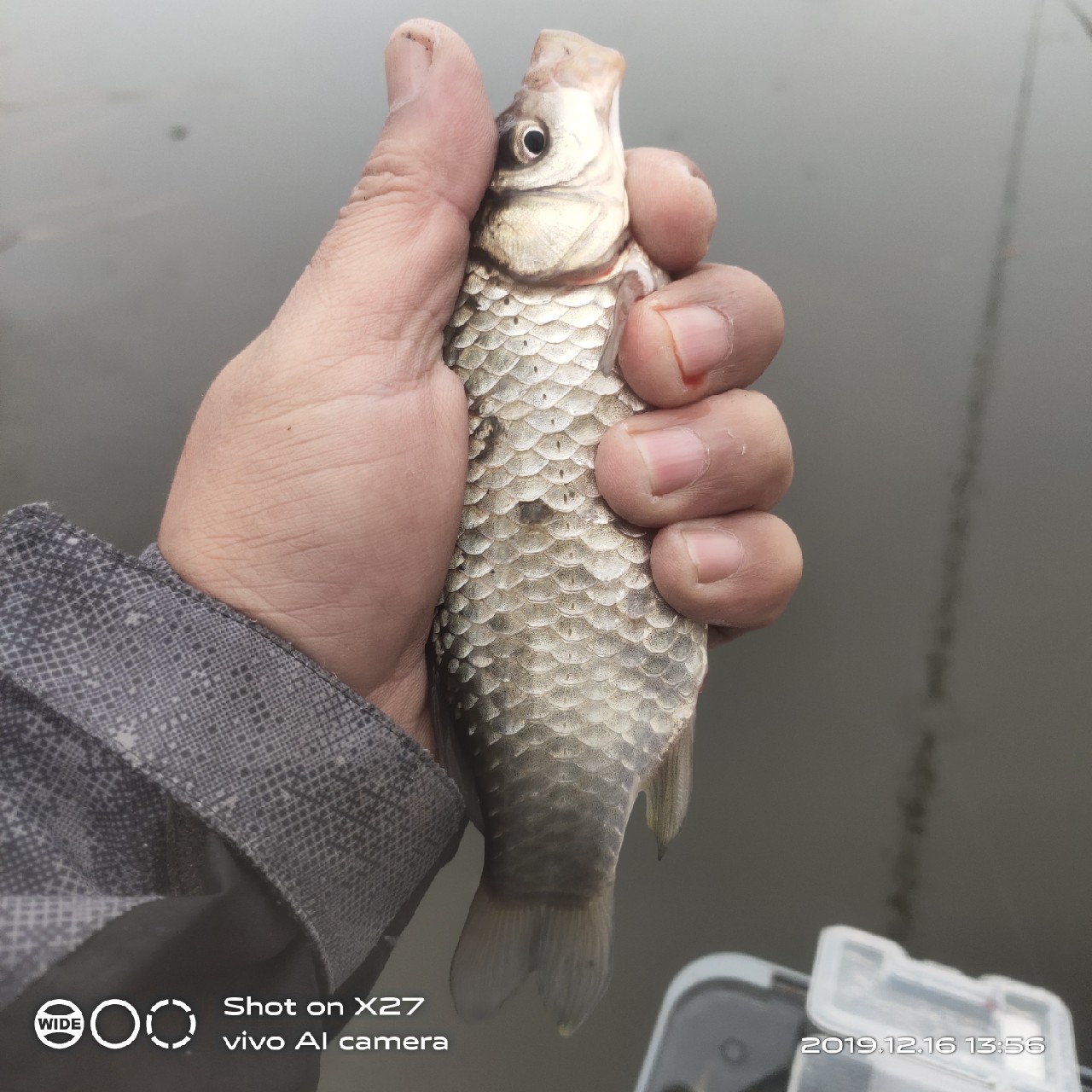 春天小雨天钓鲫鱼技巧和方法,钓鲫鱼的正确方法与技巧