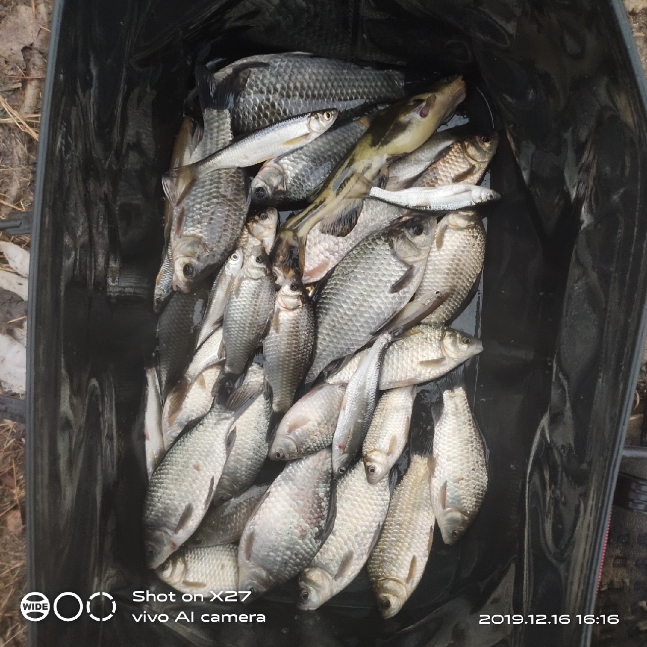 春天小雨天钓鲫鱼技巧和方法,钓鲫鱼的正确方法与技巧