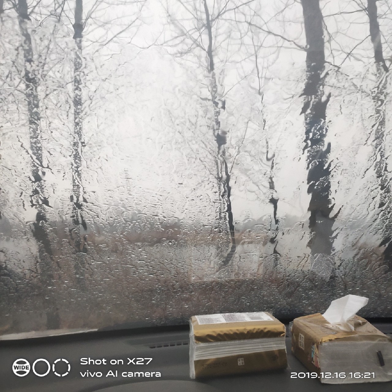 春天小雨天钓鲫鱼技巧和方法,钓鲫鱼的正确方法与技巧