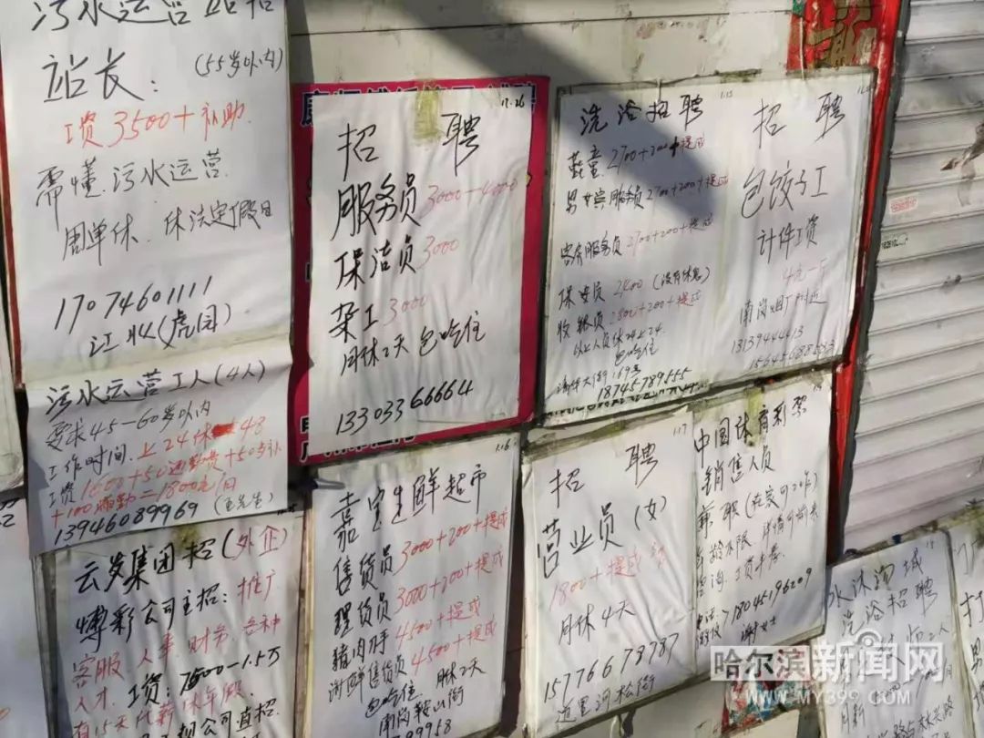 饭店招聘服务员学徒,饭店招聘月薪40005000左右