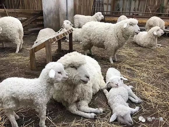 佳兆业广场定位,佳兆业广场入驻品牌