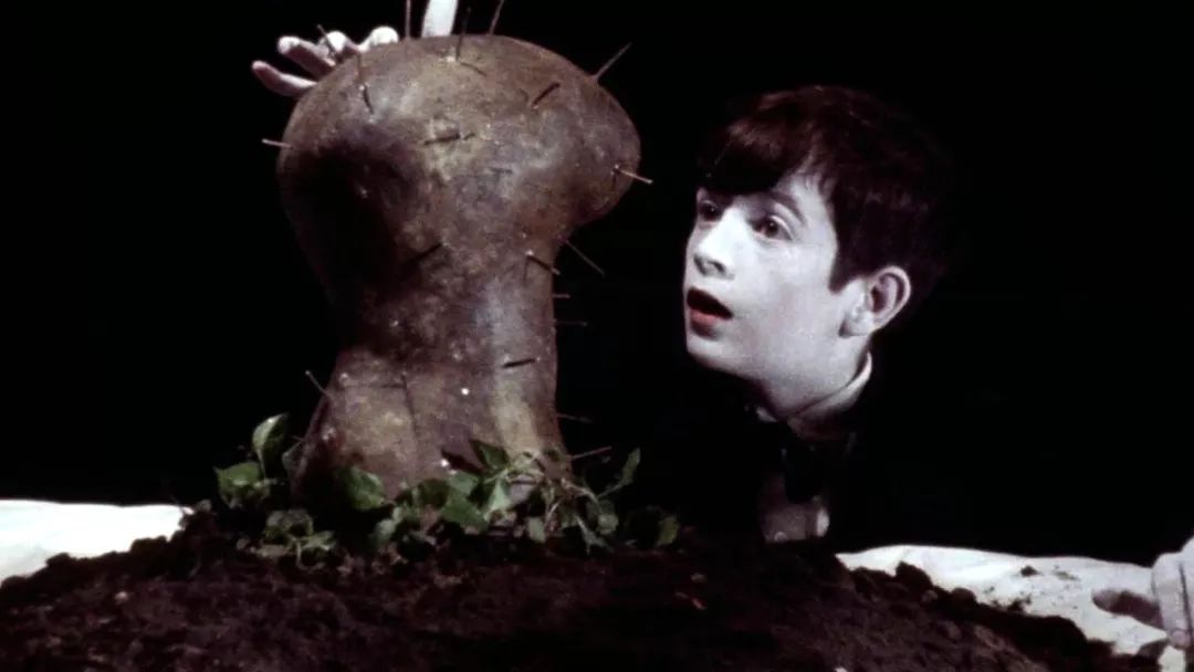 大卫林奇新怪谈,大卫林奇惊世之作