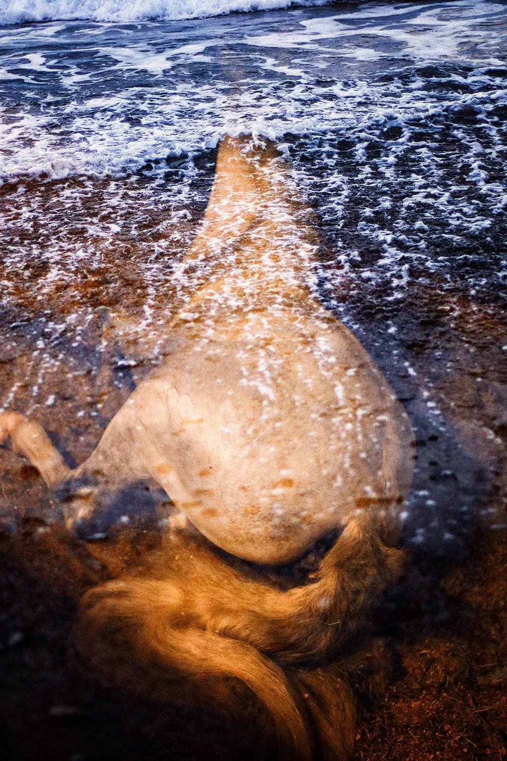 大卫林奇新怪谈,大卫林奇惊世之作