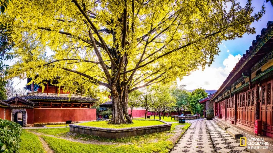 丽江为什么可以让人沉醉,丽江为何称作艳遇之都