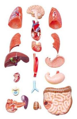 流量小花综艺首谈婚恋观，拼命奋斗竟是为攒嫁妆钱？