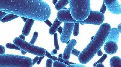 流量小花综艺首谈婚恋观，拼命奋斗竟是为攒嫁妆钱？