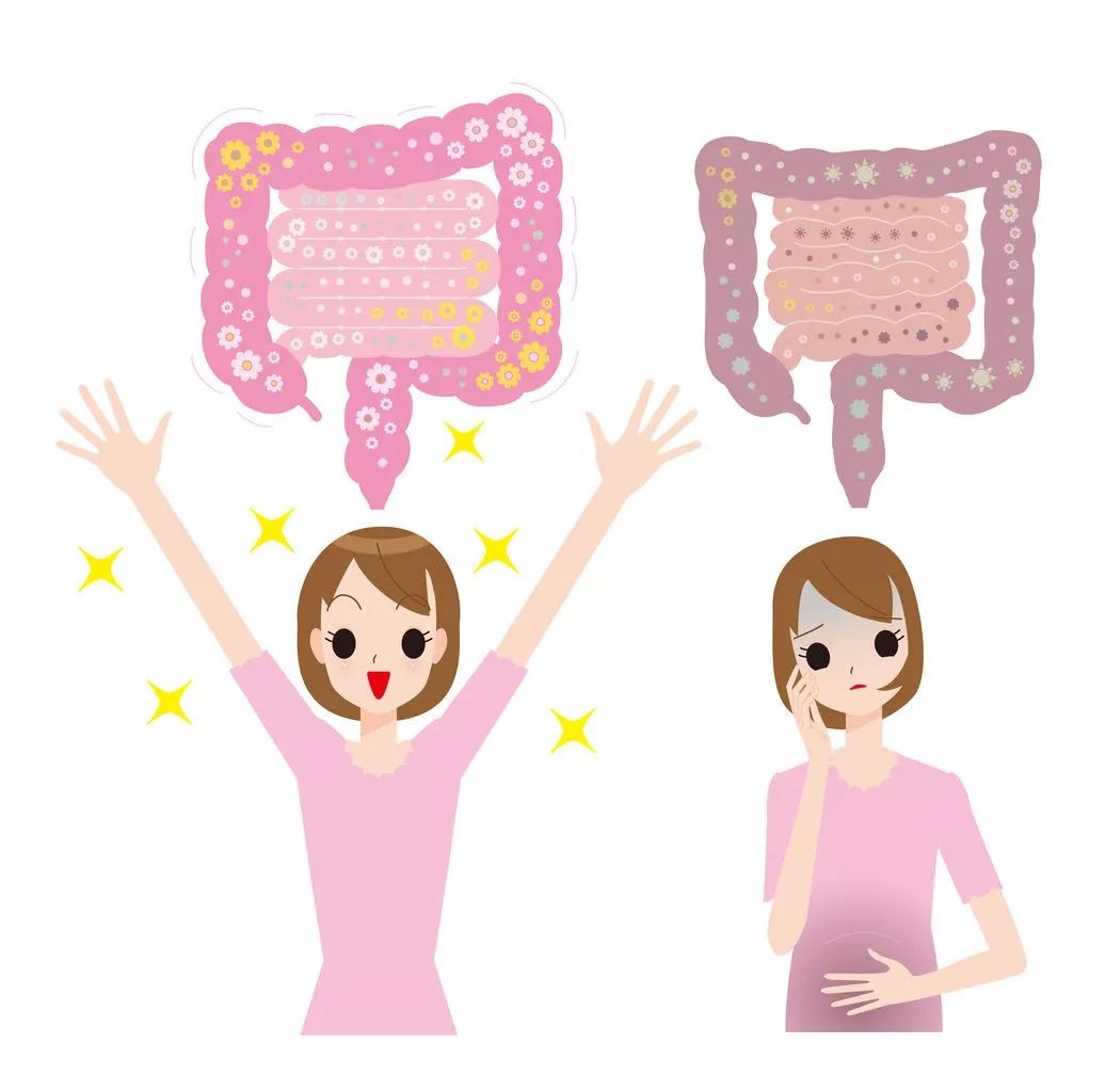 普洱茶刮油的原理及效果解析,普洱茶刮油清肠