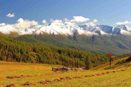 央视十大顶级背景音乐,央视常用100首经典背景乐曲