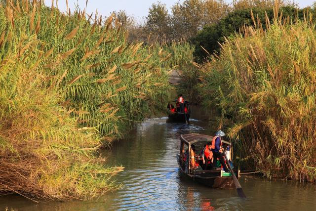江苏5a景区自驾攻略,江苏有哪些5A景点