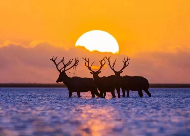 江苏5a景区自驾攻略,江苏有哪些5A景点