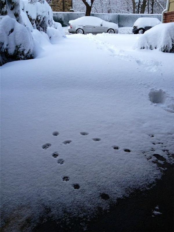 早上6点多公交车挤不挤,早上的公交车非常拥堵
