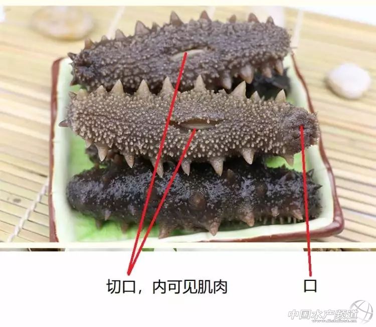 购买海参不要贪图便宜,购买40元一斤即食海参的注意事项