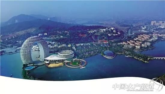 最后4.5万亩围网被拆除，太湖螃蟹集体搬了家