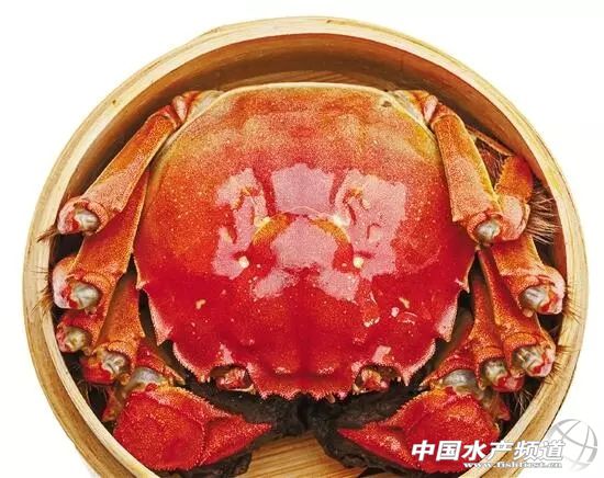 最后4.5万亩围网被拆除，太湖螃蟹集体搬了家