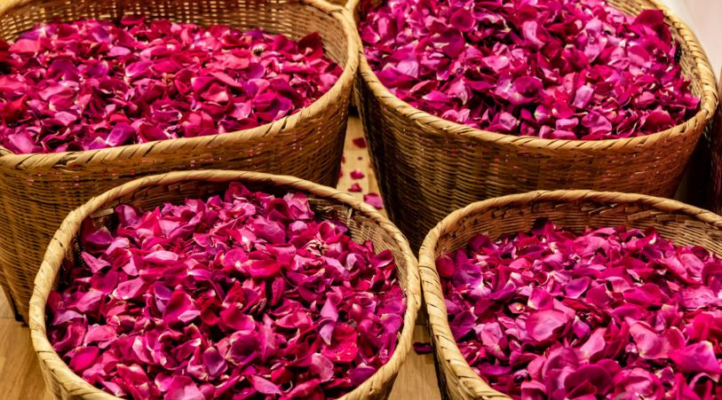 潮玩灵感微醺一夏沁凉开启,潮玩游玩攻略