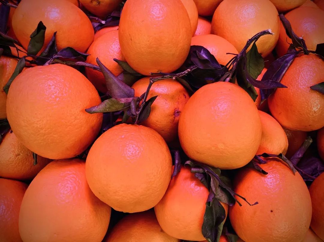 橘子橙子柚子哪个降火,柚子和橘子上火还是降火