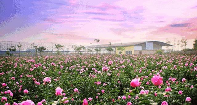 潮玩灵感微醺一夏沁凉开启,潮玩游玩攻略