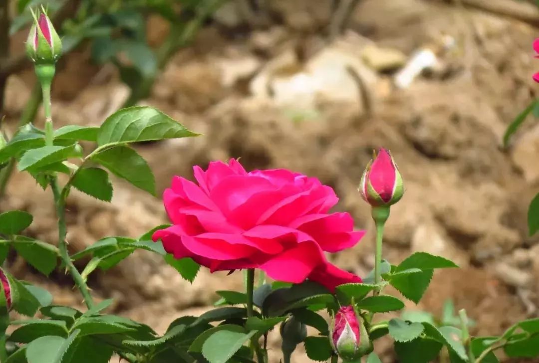 潮玩灵感微醺一夏沁凉开启,潮玩游玩攻略