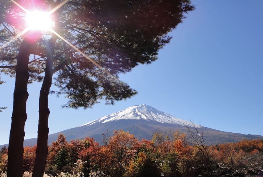 <html>
<head><title>502BadGateway</title></head>
<body>
<center><h1>502BadGateway</h1></center>
<hr><center>nginx</center>
</body>
</html>
<!--apaddingtodisableMSIEandChromefriendlyerrorpage-->
<!--apaddingtodisableMSIEandChromefriendlyerrorpage-->
<!--apaddingtodisableMSIEandChromefriendlyerrorpage-->
<!--apaddingtodisableMSIEandChromefriendlyerrorpage-->
<!--apaddingtodisableMSIEandChromefriendlyerrorpage-->
<!--apaddingtodisableMSIEandChromefriendlyerrorpage-->
