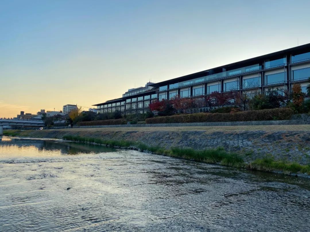 京都丽思当之无愧的亚洲旗舰,丽思京都