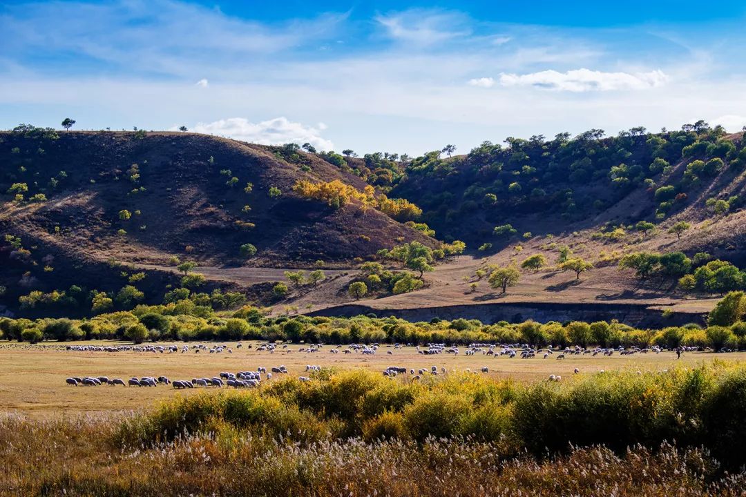 中国39个世界地质公园名录,我国世界地质公园数量增至47处