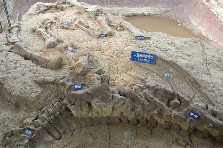 中国39个世界地质公园名录,我国世界地质公园数量增至47处