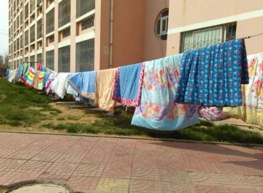 被子不晒不洗如何去味,被子不洗不晒怎么杀菌除味