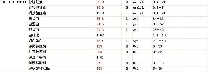 肝功能检查中ggt和alp是什么指标,ggt升高而alp正常提示什么