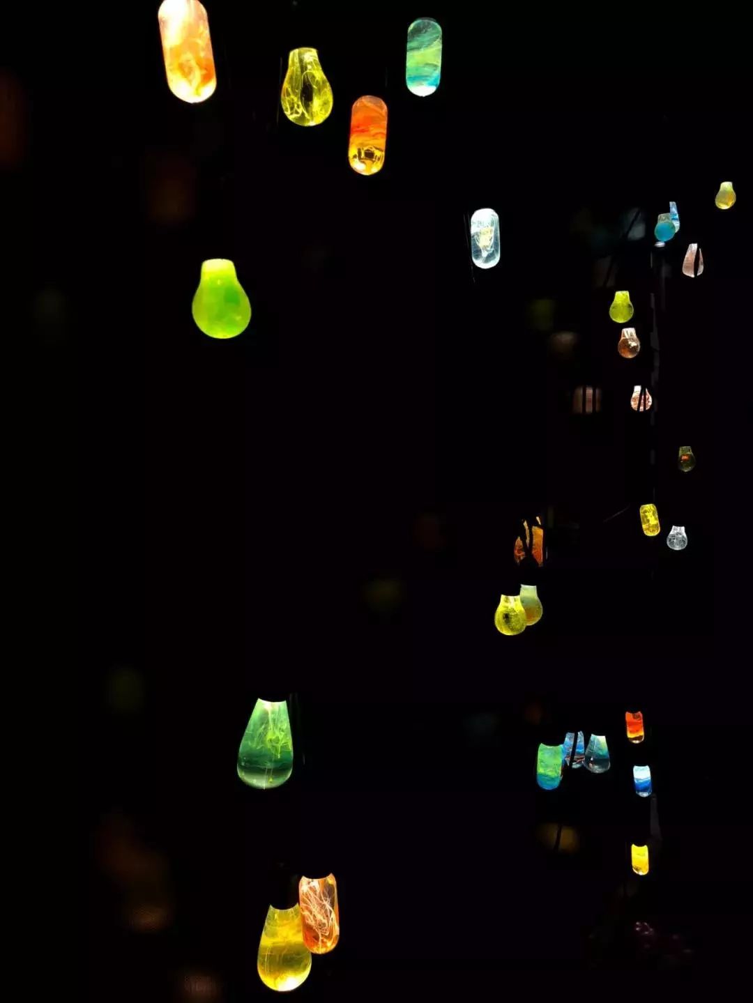 2022骞存繁鍦虫涔愭捣宀告涔愭繁娲昏妭,2021骞存繁鍦虫涔愭捣宀告涔愭繁娲昏妭