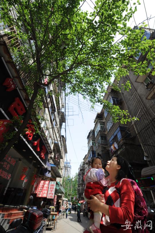 庐阳在首善路上新老合肥“双城记”：红星路上的那些故事总会令人莫名地陶醉