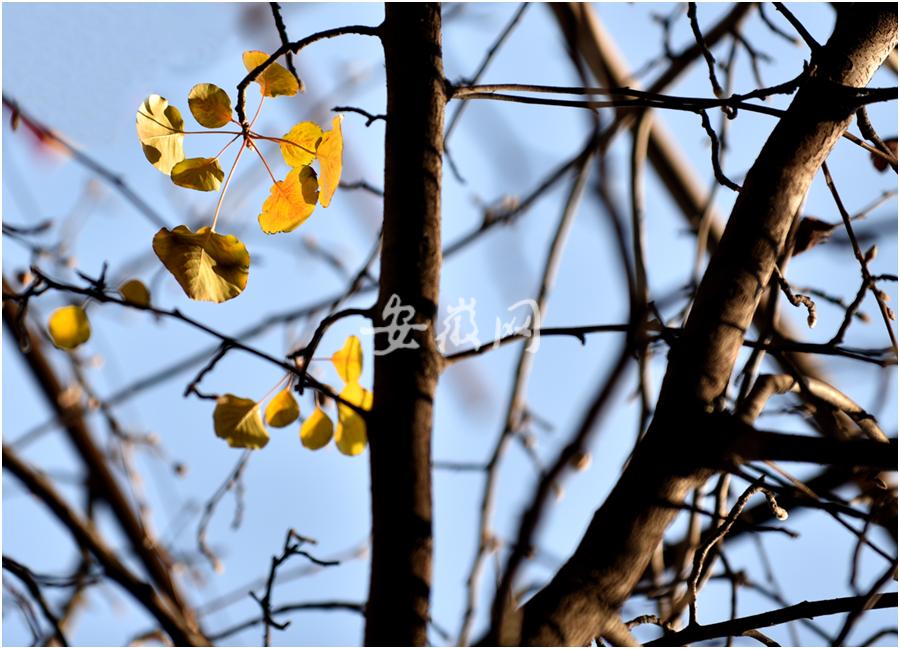 庐阳在首善路上新老合肥“双城记”：红星路上的那些故事总会令人莫名地陶醉